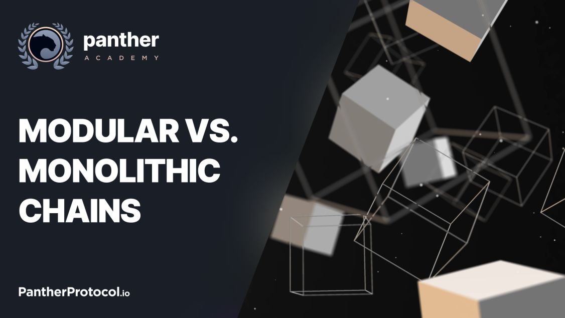 Modular Blockchains vs Monolithic Blockchains