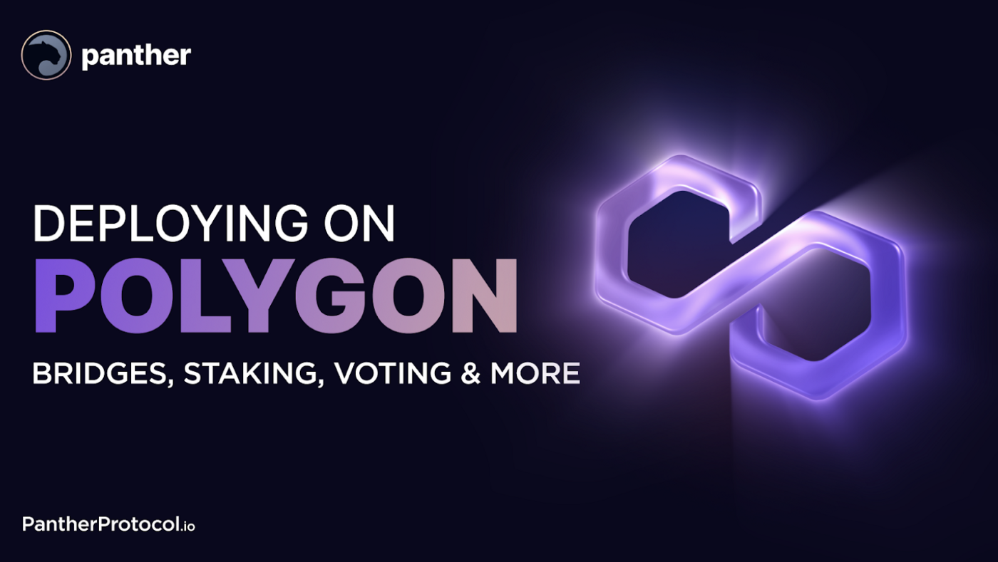 Panther announces its Polygon integration