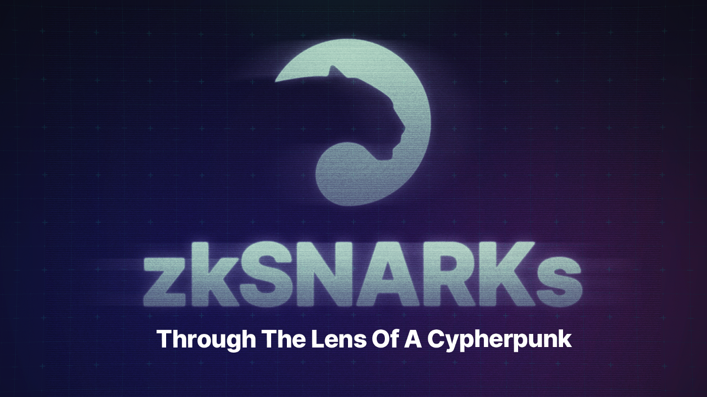 zkSNARKs Through The Lens Of A Cypherpunk
