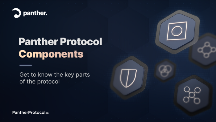 An overview of technical components of Panther Protocol