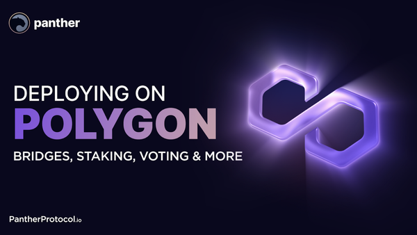 Panther Protocol announces its Polygon integration