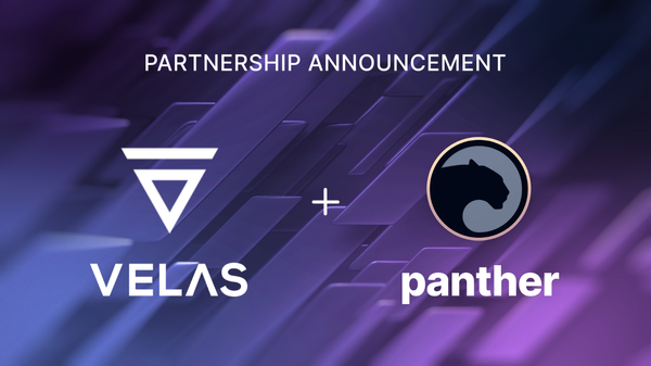 Panther and Velas partner to build a very fast private DeFi experience