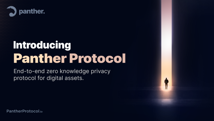 What is Panther Protocol and why it exists?
