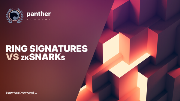 Ring Signatures vs. zkSNARKs: a comparison of privacy technologies